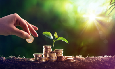 The Hidden Benefits of Final Expense Insurance
